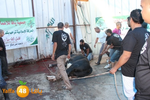 ada7y 116 n1 (40).JPG